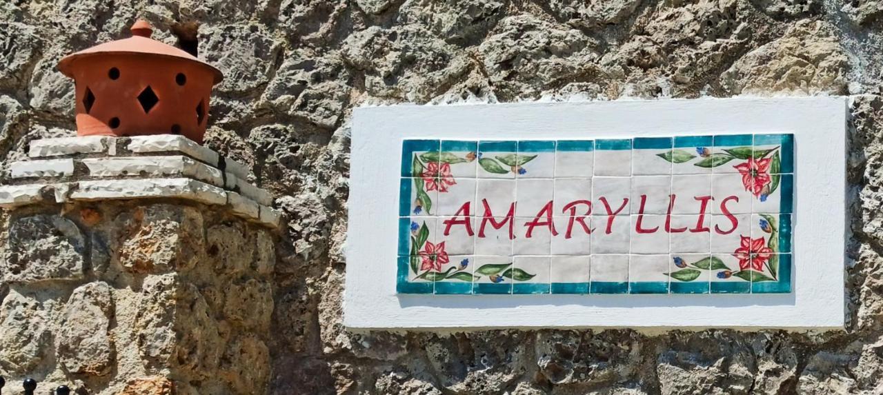 Villa Amaryllis Paleokastritsa Dış mekan fotoğraf